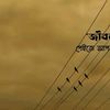 পেইজ জীবন চক্র
