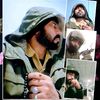 hadimuhammad045