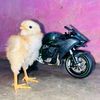 miguelangel87878
