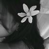 aameelllceeyo