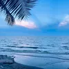 minh.quan028