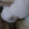 cloudthekitty6