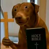 juiesu