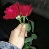 user7059815326849