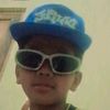 diass8153