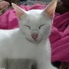 cutieeme131