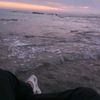 mohamad.natour8