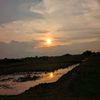 aruna_nizam