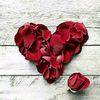 user5818831304238