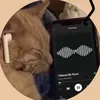 urboyali13