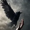 🖤😥🖤