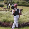 farmis38121