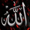_deniz_542_