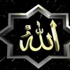 user7460857097161