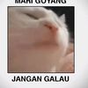dimas_kece66