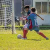 cancu2012