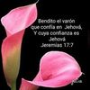 cucu42468