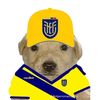 pepito8700