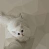 ruoh_19