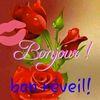 roseodg687oued1