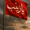 user9291145060607