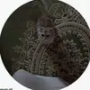 lil.0012