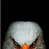 idrissi.mohammad3