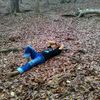 milono.activities