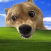 sapdilinh_