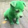 greendog31
