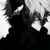 zan_2313