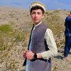 naveed.shah462