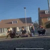 livcansurf