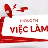 vieclambacgiang5
