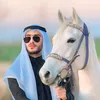 _mzn_n