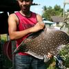 arman_baracudda78