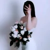 aldoon_12