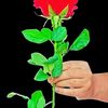 sagal_dadwiish1