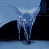 giniro.kitsune1