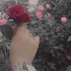 amera.amera786