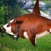 sralka85