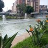 acevedo9694