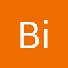 bivovan480