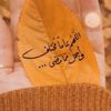 user8734297996008