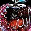 user8775155349260