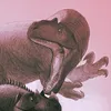 mapusaurus_roseae_editz