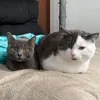 mochi.yuuki