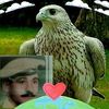 user93911082361930