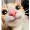wh0_is_saraa