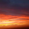 ahmed_dz.15